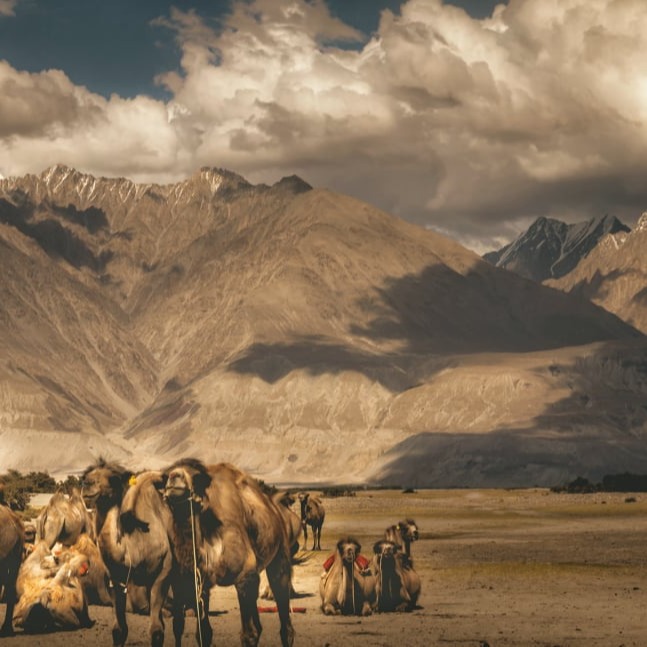iNDIAN Adventure