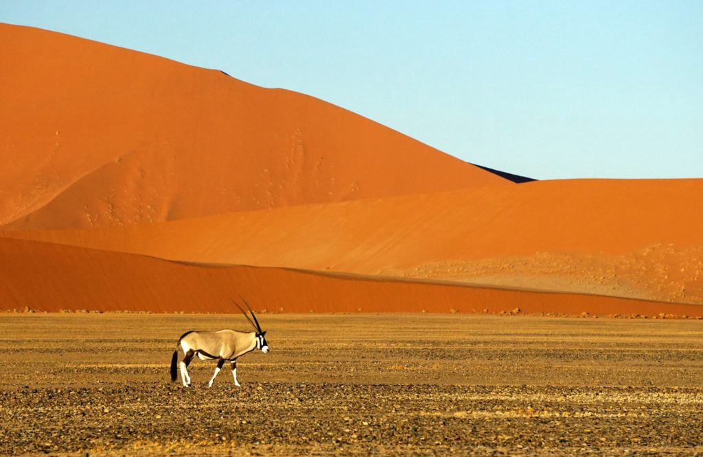 Namib-Naukluft Park