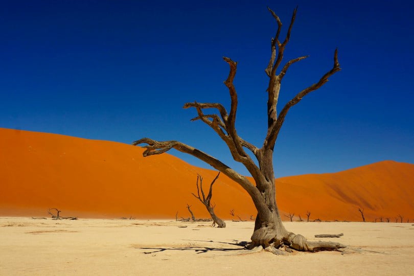 Namibia