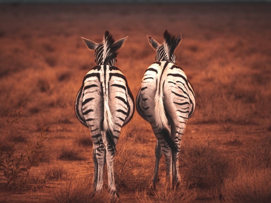 Namabia Photography