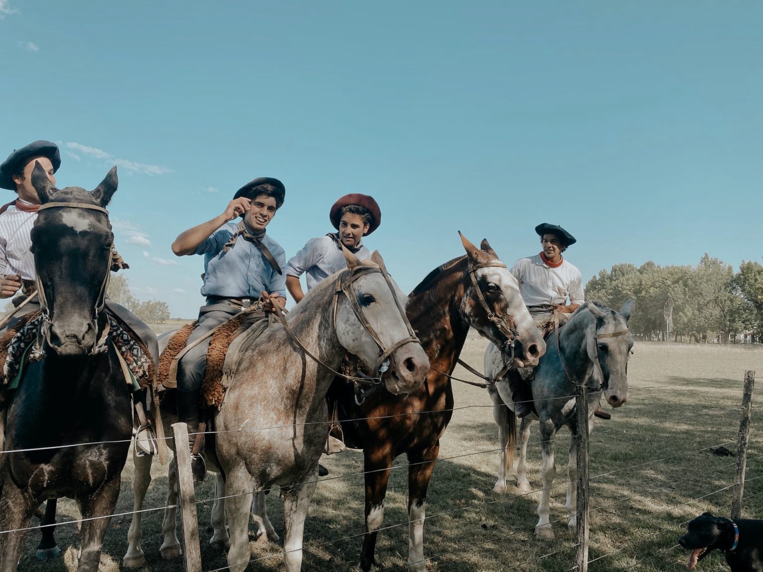 The Pampas, San Antonio de Areco