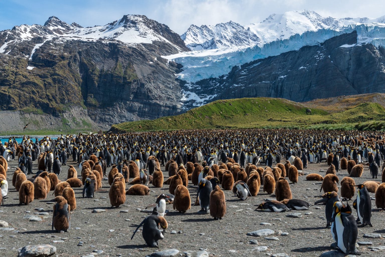 South Georgia